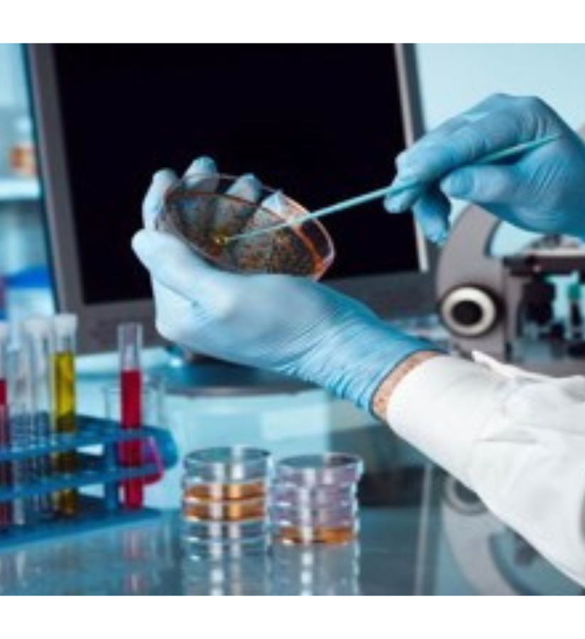 Pre-filled Media Plates