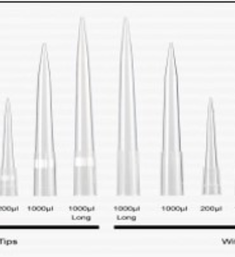 Pipette Tips